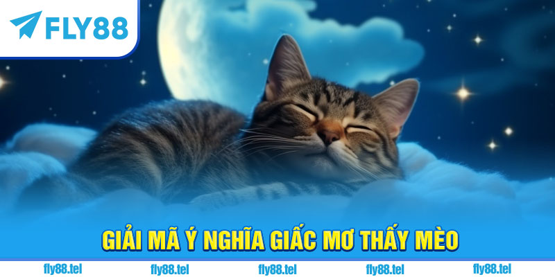 Nằm Mơ Thấy Mèo Là Điềm Gì? Giải Mã, Con Số Chuẩn 5 Giải mã ý nghĩa giấc mơ thấy mèo