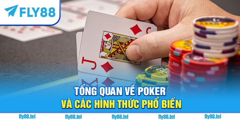 Cách Chơi Poker Trên Fly88: Hướng Dẫn Chi Tiết Và Kinh Nghiệm 5 Tổng quan về poker và các hình thức phổ biến