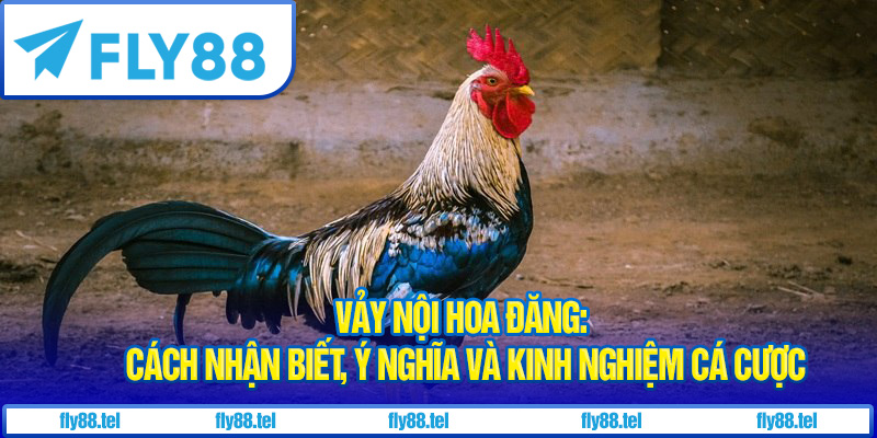 Vảy Nội Hoa Đăng: Cách Nhận Biết, Ý Nghĩa và Kinh Nghiệm Cá Cược 2 Vảy nội hoa đăng