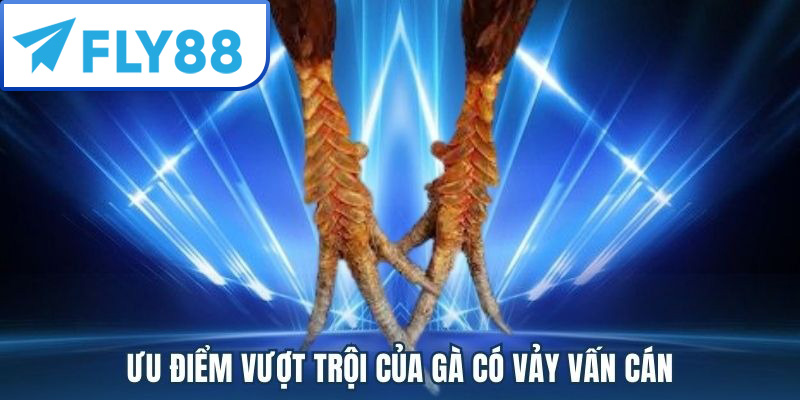 Vảy Gà Vấn Cán Là Gì? Cách Nhận Biết & Phân Loại Chuẩn 2025 3 Vảy gà vấn cán có những ưu điểm vượt trội