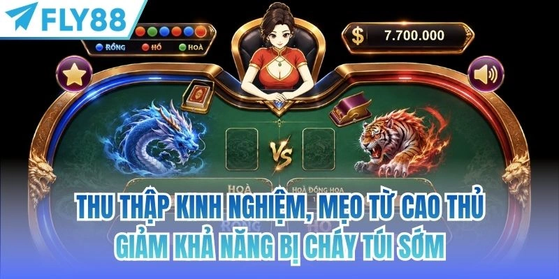 Cách Chơi Rồng Hổ Chi Tiết | Mẹo Giúp Bạn Dễ Thắng 4 Thu thập kinh nghiệm, mẹo từ cao thủ giảm khả năng bị cháy túi sớm